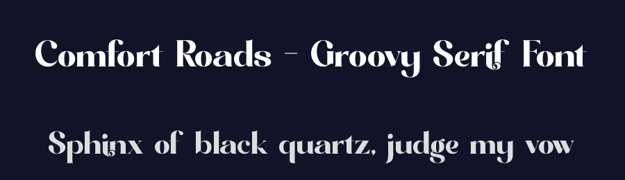 Comfort Roads – Groovy Serif Font by timelesstype.co — Display Font — thumbnail 2
