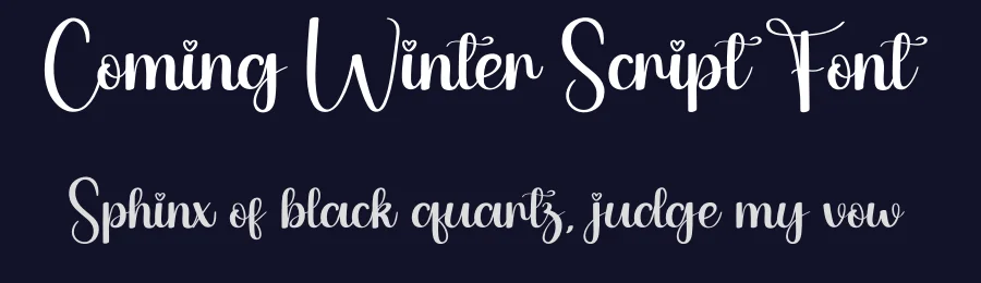 Coming Winter Script Font by andikastudio — Script Handwritten Font — thumbnail 2