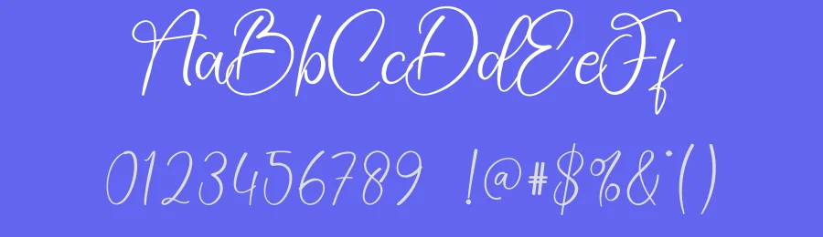 Company Script Font by creativeletter — Script Handwritten Font — thumbnail 3