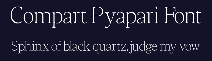 Compart Pyapari Font by glyphminds.studios — Serif Font — thumbnail 2