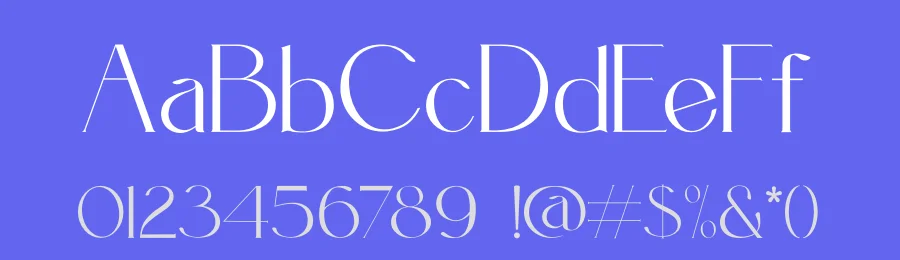 Conceta Font by zafira.type — Serif Font — thumbnail 3