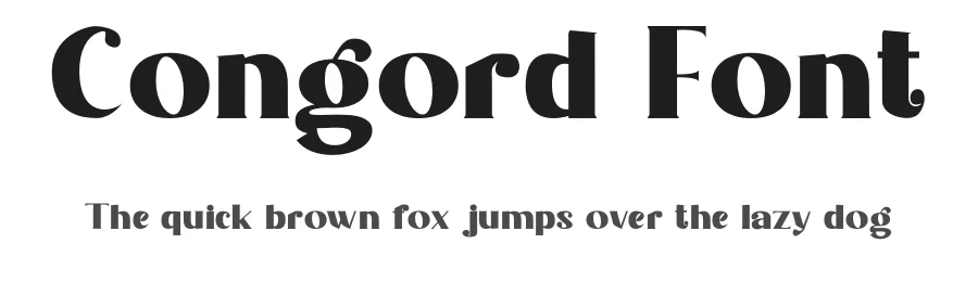 Congord Font by Letternesia studio — Display Font