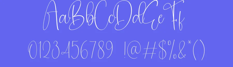Congrats – Natural Script Handwritten Font by creativeletter — Script Handwritten Font — thumbnail 3