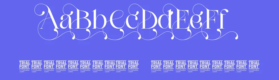 Connect Markets – Modern Serif Font by 177Studio — Script Handwritten Font — thumbnail 3
