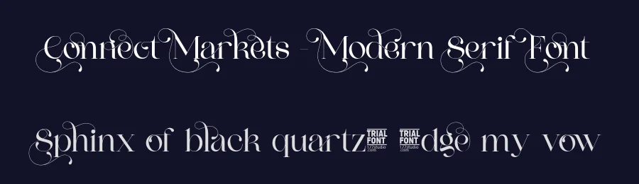 Connect Markets – Modern Serif Font by 177Studio — Script Handwritten Font — thumbnail 2