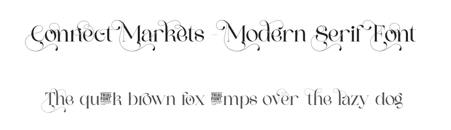 Connect Markets – Modern Serif Font by 177Studio — Script Handwritten Font