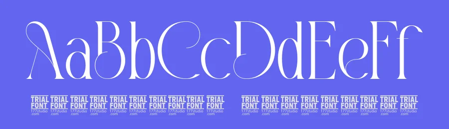Considered Connected – Elegant Serif Font by 177Studio — Display Font — thumbnail 3