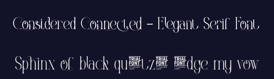 Considered Connected – Elegant Serif Font by 177Studio — Display Font — thumbnail 2