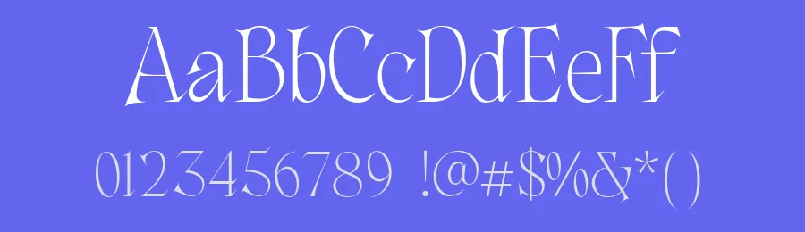 Consta Serif Font by Identitype — Serif Font — thumbnail 3