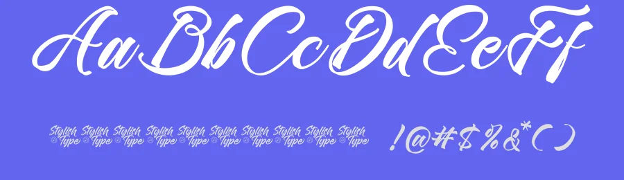 Contynew Kastifu – Bold Calligraphy Font by stylishtype.co — Script Handwritten Font — thumbnail 3