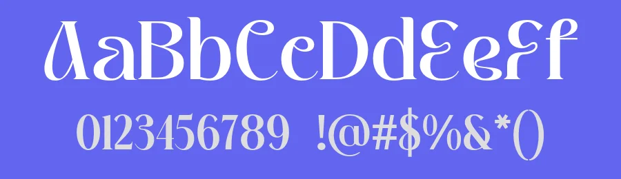 Coplifher Font by Mine Type Lab — Serif Font — thumbnail 3