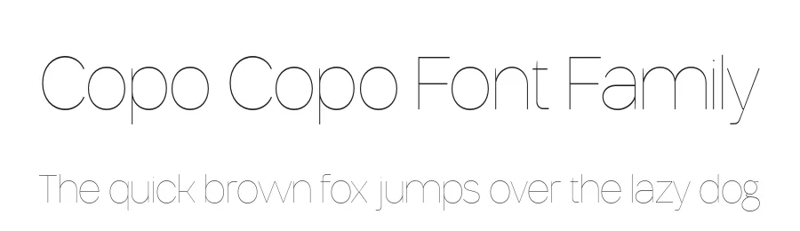 Copo Copo Font Family by Casloop Studio — Decorative Font