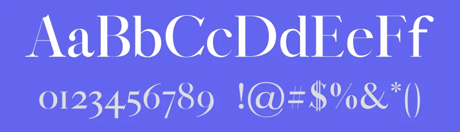 Coral Lovers Font by Silver Stag — Serif Font — thumbnail 3