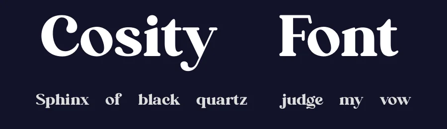 Cosity Font by Koplexsstudio — Serif Font — thumbnail 2