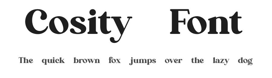 Cosity Font by Koplexsstudio — Serif Font
