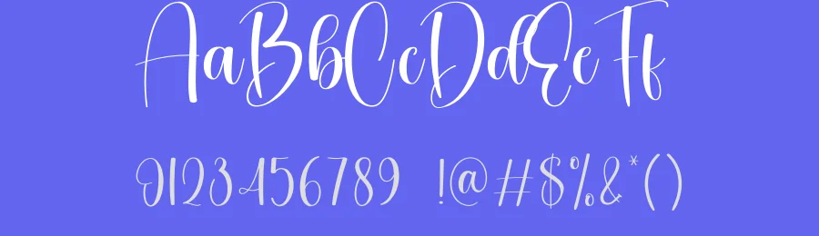Cottage Calligraphy Font by creativeletter — Script Handwritten Font — thumbnail 3