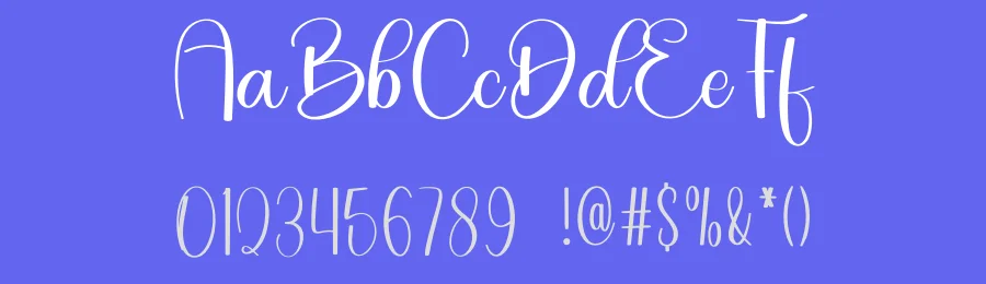 Cottage Cheese Calligraphy Font by freshtypeink — Script Handwritten Font — thumbnail 3