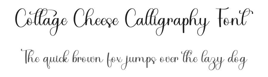 Cottage Cheese Calligraphy Font by freshtypeink — Script Handwritten Font