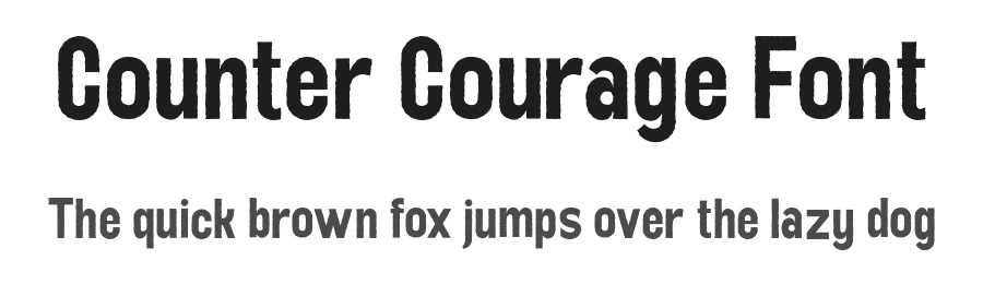 Counter Courage Font by Viaction Type.Co β Sans Serif Font