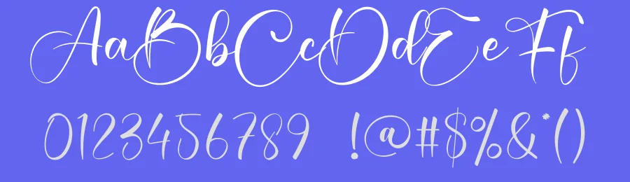 Country Calligraphy Font by creativeletter — Script Handwritten Font — thumbnail 3