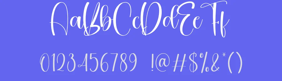 Country Calligraphy Script Font by creativeletter — Script Handwritten Font — thumbnail 3