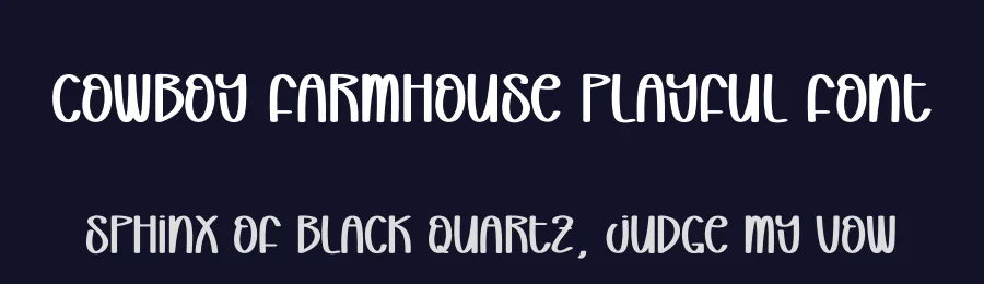 Cowboy Farmhouse Playful Font by creativeletter — Script Handwritten Font — thumbnail 2