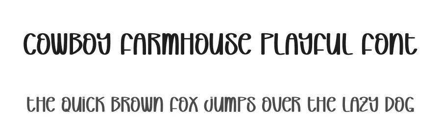 Cowboy Farmhouse Playful Font by creativeletter — Script Handwritten Font