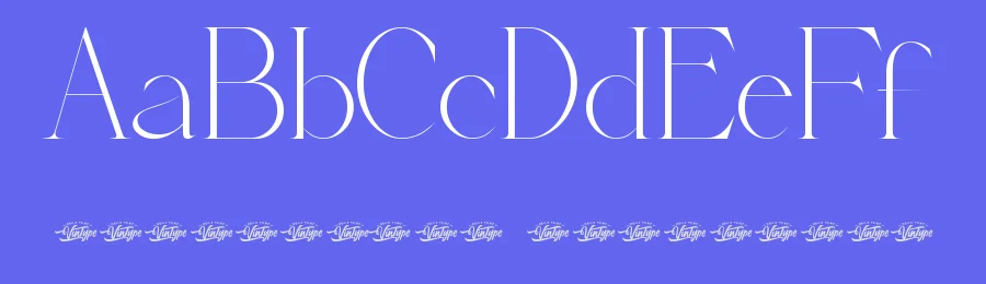 Craisa Loena Font by VinType — Display Font — thumbnail 3