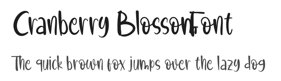 Cranberry Blossom Font by CalligraphyFonts.net — Display Font