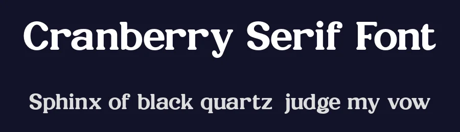 Cranberry Serif Font by Pikgura Type — Display Font — thumbnail 2