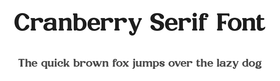 Cranberry Serif Font by Pikgura Type — Display Font