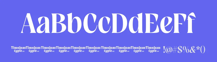 Crashed Font by timelesstype.co — Serif Font — thumbnail 3