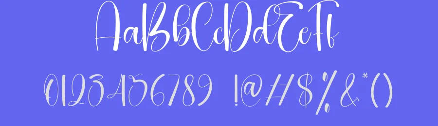 Creative Handwritten Script Font by creativeletter — Script Handwritten Font — thumbnail 3