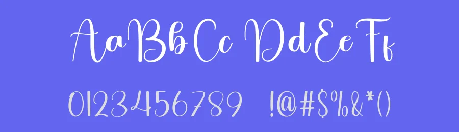 Creative Signature Script Font by freshtypeink — Script Handwritten Font — thumbnail 3