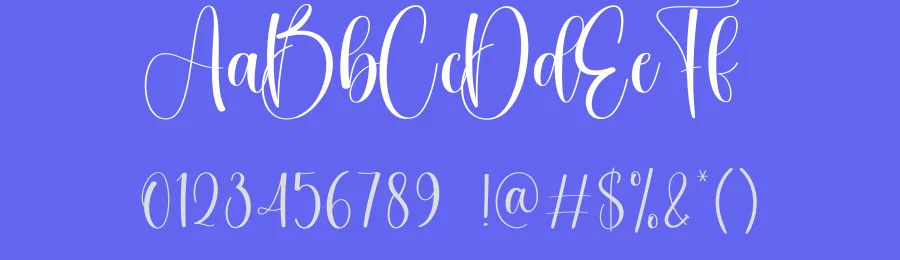 Cristian Angelina Calligraphy Font by creativeletter — Script Handwritten Font — thumbnail 3