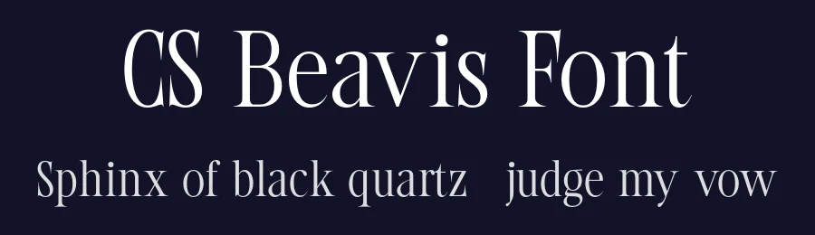 CS Beavis Font by craftsupplyco — Display Font — thumbnail 2