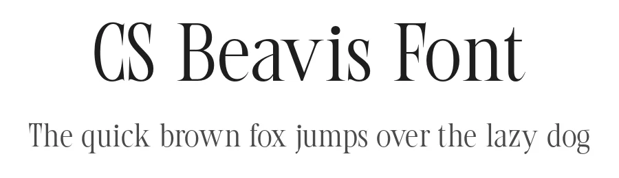CS Beavis Font by craftsupplyco — Display Font
