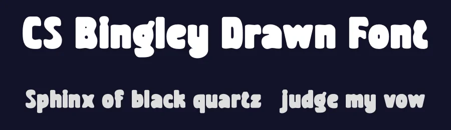 CS Bingley Drawn Font by craftsupplyco — Display Font — thumbnail 2
