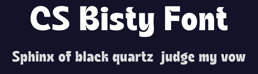CS Bisty Font by craftsupplyco — Display Font — thumbnail 2