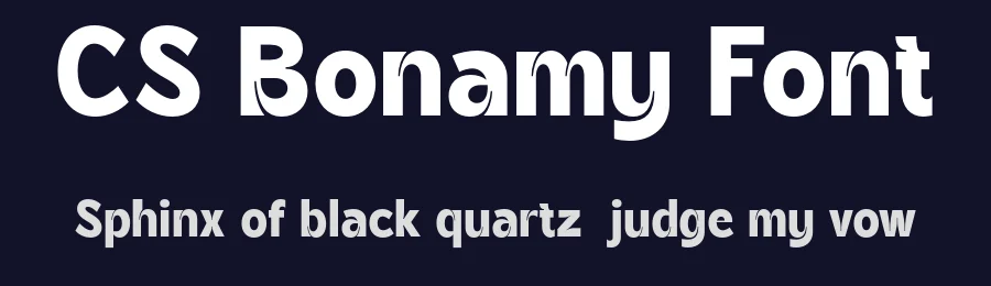 CS Bonamy Font by craftsupplyco — Display Font — thumbnail 2