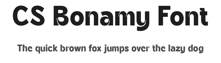 CS Bonamy Font by craftsupplyco — Display Font