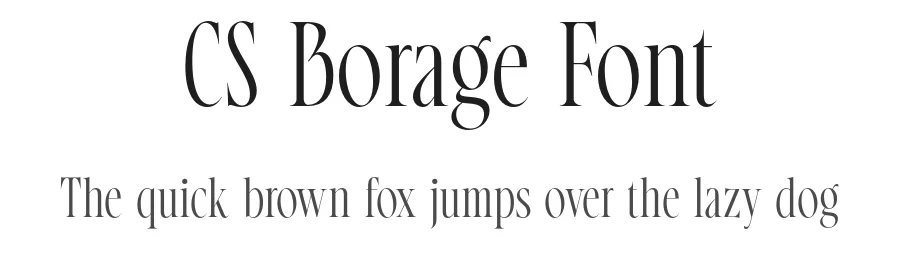 CS Borage Font by craftsupplyco — Display Font