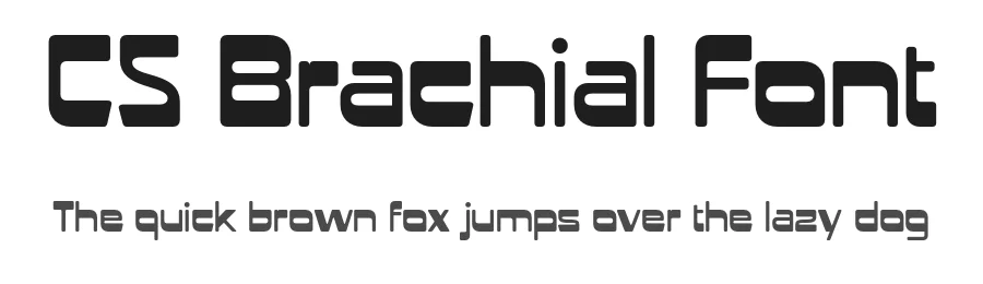CS Brachial Font by craftsupplyco — Display Font