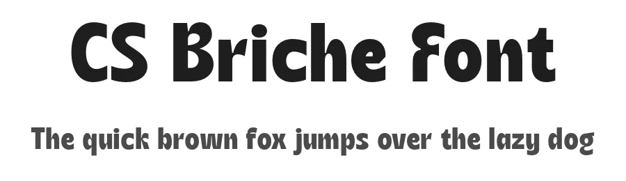 CS Briche Font by craftsupplyco β Display Font
