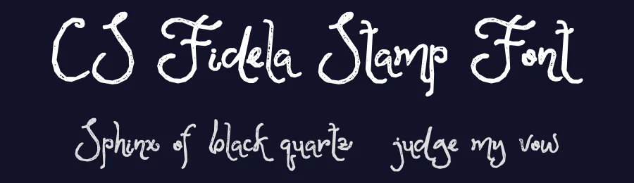 CS Fidela Stamp Font by craftsupplyco — Script Handwritten Font — thumbnail 2
