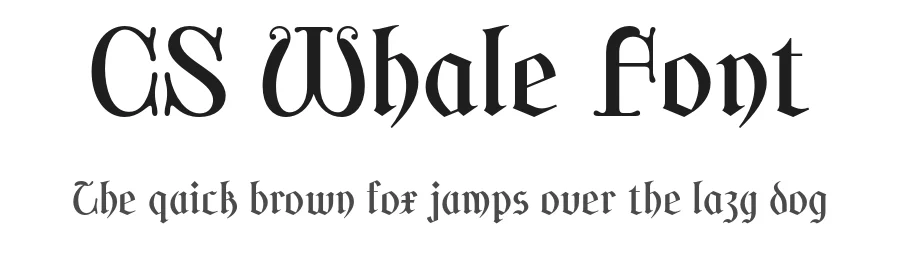 CS Whale Font by craftsupplyco β Display Font