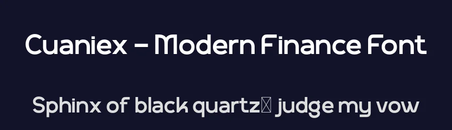 Cuaniex – Modern Finance Font by productype — Decorative Font — thumbnail 2
