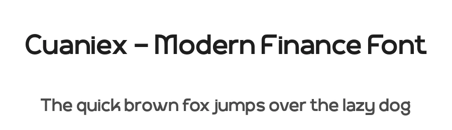 Cuaniex – Modern Finance Font by productype — Decorative Font