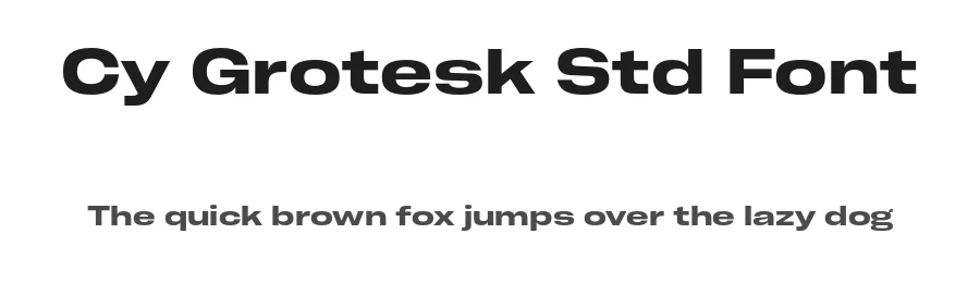 Cy Grotesk Std Font by Kobuzan — Sans Serif Font