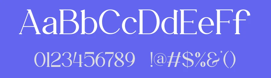 Cyendra Serif Font by ErmediaStudio — Serif Font — thumbnail 3